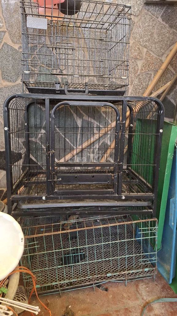 chuồng sắt mái vòm khung ống. Mua bán Phụ kiện, Thức ăn, Dịch vụ tại Quận Hoàng Mai Hà Nội được đăng bởi Thu Sẽ Gầy hình 1