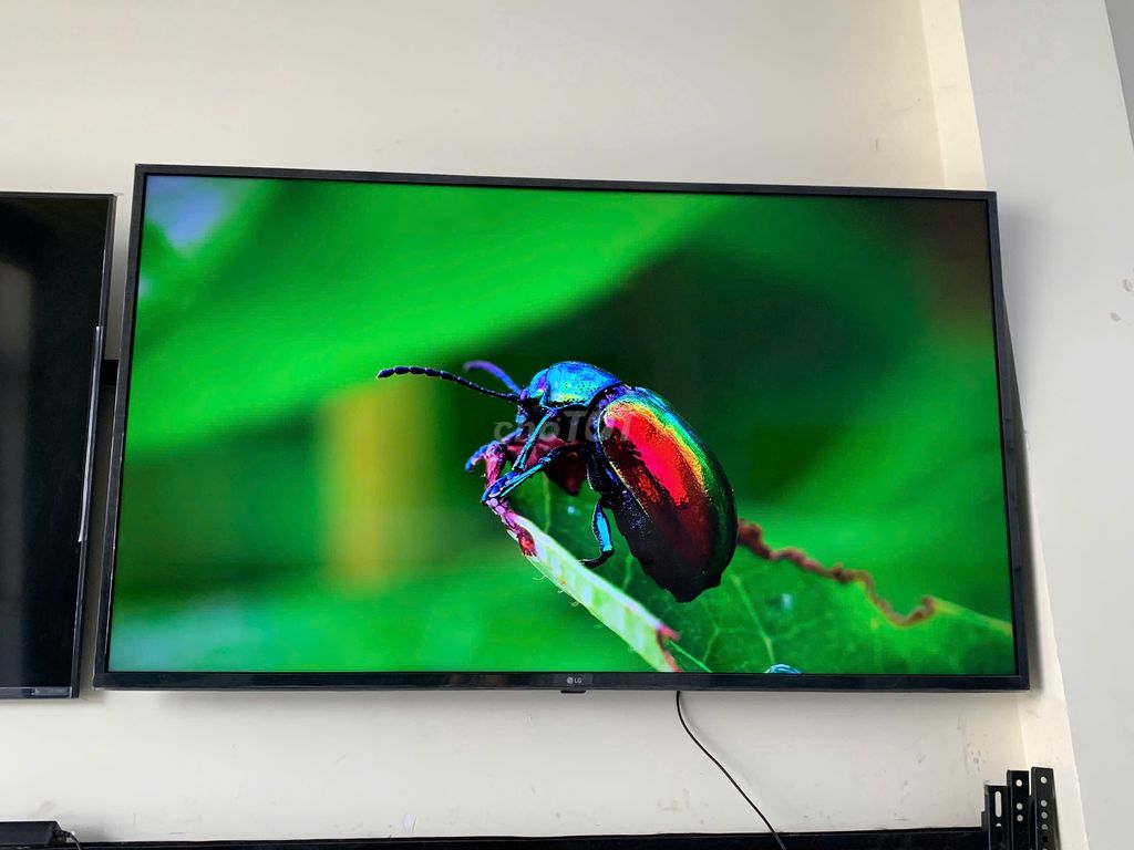 Tivi LG 55inch 4K. Mua bán Tivi, Âm thanh tại Quận Ninh Kiều Cần Thơ được đăng bởi Sửa Tivi Cần Thơ hình 1