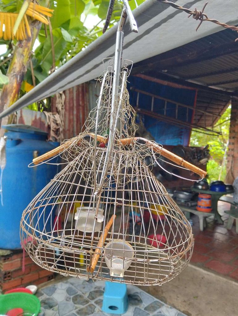 Lồng bẫy chim Inox 3 xị. Mua bán Phụ kiện, Thức ăn, Dịch vụ tại Huyện Gò Dầu Tây Ninh được đăng bởi Đại hình 3
