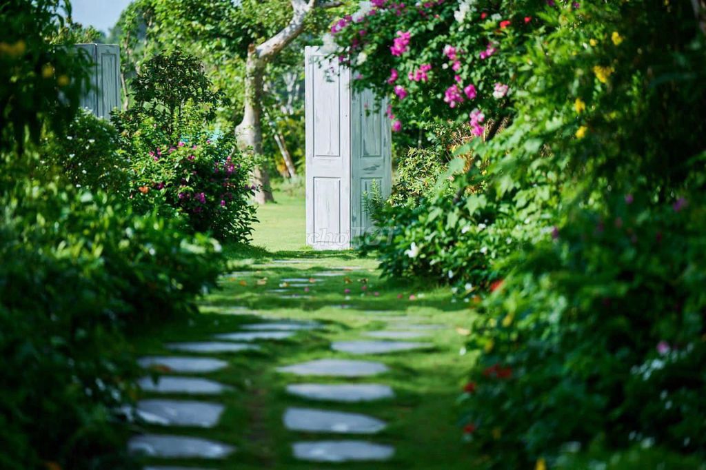 Dịch vụ Chăm sóc cảnh quan Đồng Nai. Dịch vụ tại Huyện Long Thành Đồng Nai được đăng bởi CẢNH QUAN ĐẠI PHÁT  hình 1