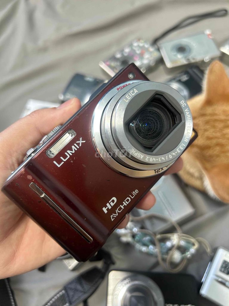 Máy ảnh Panasonic Lumix TZ10 Đỏ. Mua bán Máy ảnh, Máy quay tại Quận Bình Tân Tp Hồ Chí Minh được đăng bởi Đặng Như hình 1