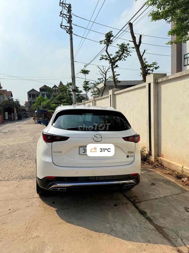 Ảnh số 5
