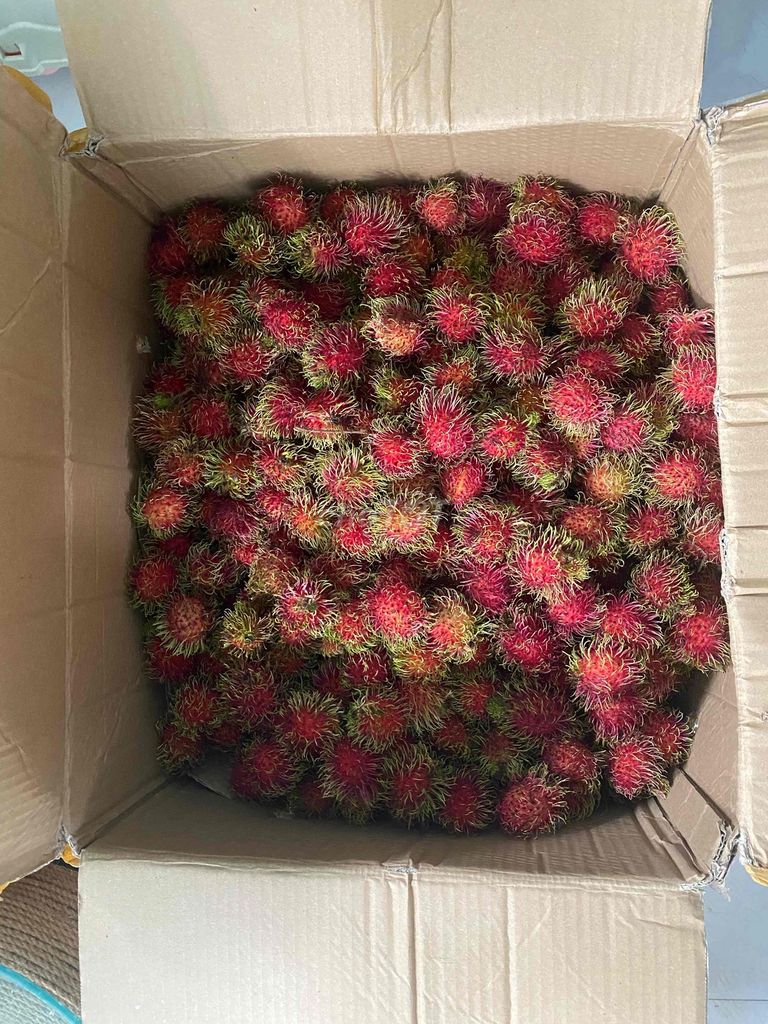Chôm chôm Thái Bình Phước 50kg. Mua bán Đồ ăn, thực phẩm và các loại khác tại Quận Sơn Trà Đà Nẵng được đăng bởi Võ Sơn hình 1