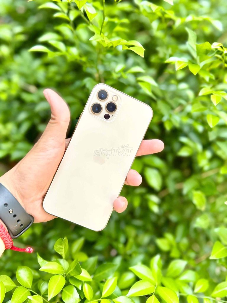 Apple Iphone 12 Pro 128GB Vàng Đã sử dụng. Mua bán Điện thoại tại Quận 8 Tp Hồ Chí Minh được đăng bởi Huy hình 1
