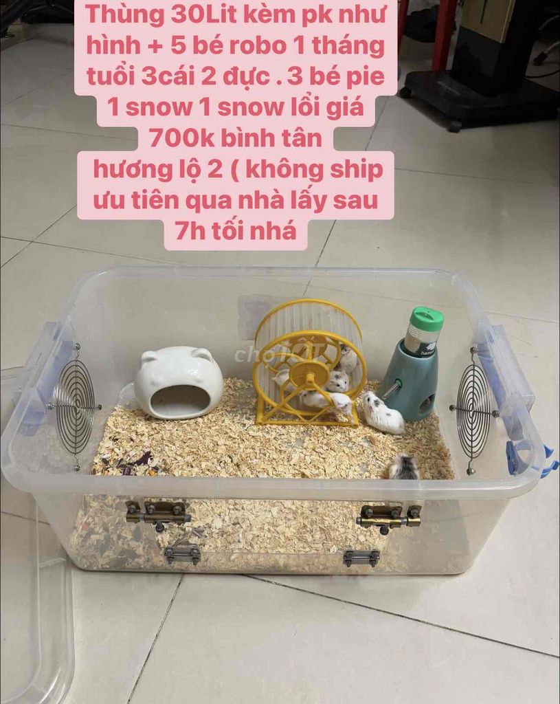 lồng chuồng hamster robo