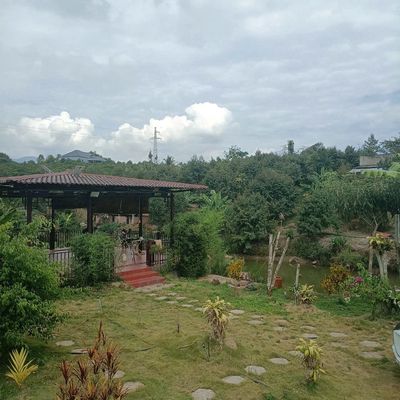 BÁN ĐẤT NHÀ VƯỜN BẢO LỘC – GIÁ F0 CHỈ 250TRIỆU. Mua bán đất tại Huyện Bảo Lâm Lâm Đồng được đăng bởi Nguyễn Hoàng Nhân