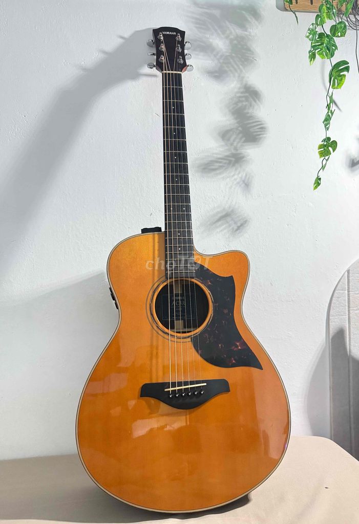 Đàn guitar Yamaha AC3R Nâu. Mua bán Nhạc cụ tại Thành phố Nha Trang Khánh Hòa được đăng bởi vietduong1234 hình 1