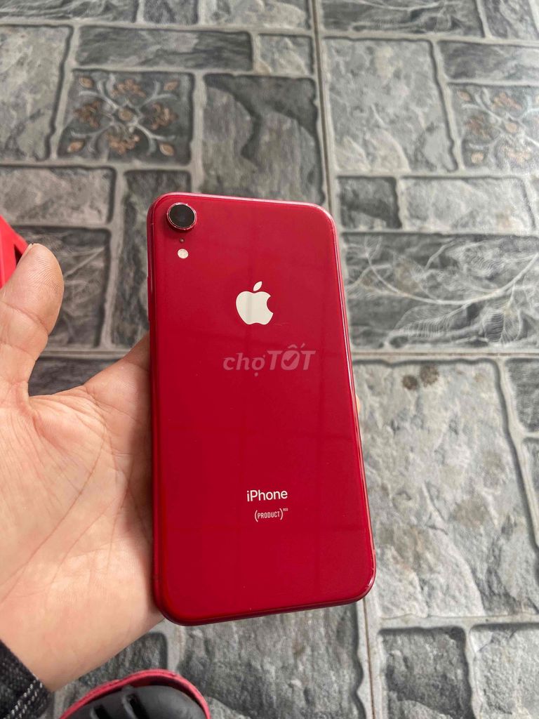 Apple iPhone XR 128GB. Mua bán Điện thoại tại Huyện Gò Dầu Tây Ninh được đăng bởi thích tùm lum hình 1