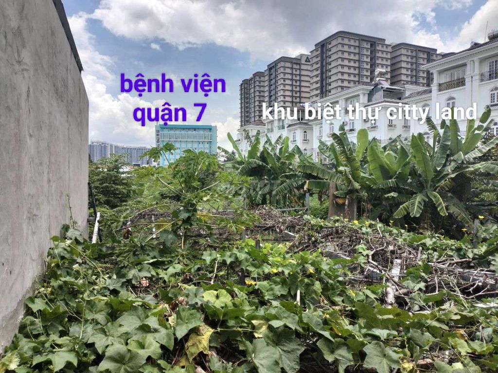 Cho thuê đất thổ cư Nguyễn Thị thập quận 7