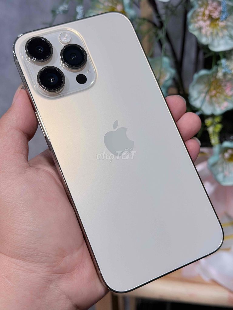 14prm 256 đẹp pin 100% Bán có Gl + Góp icloud. Mua bán Điện thoại tại Thành phố Biên Hòa Đồng Nai được đăng bởi HUNG  hình 1