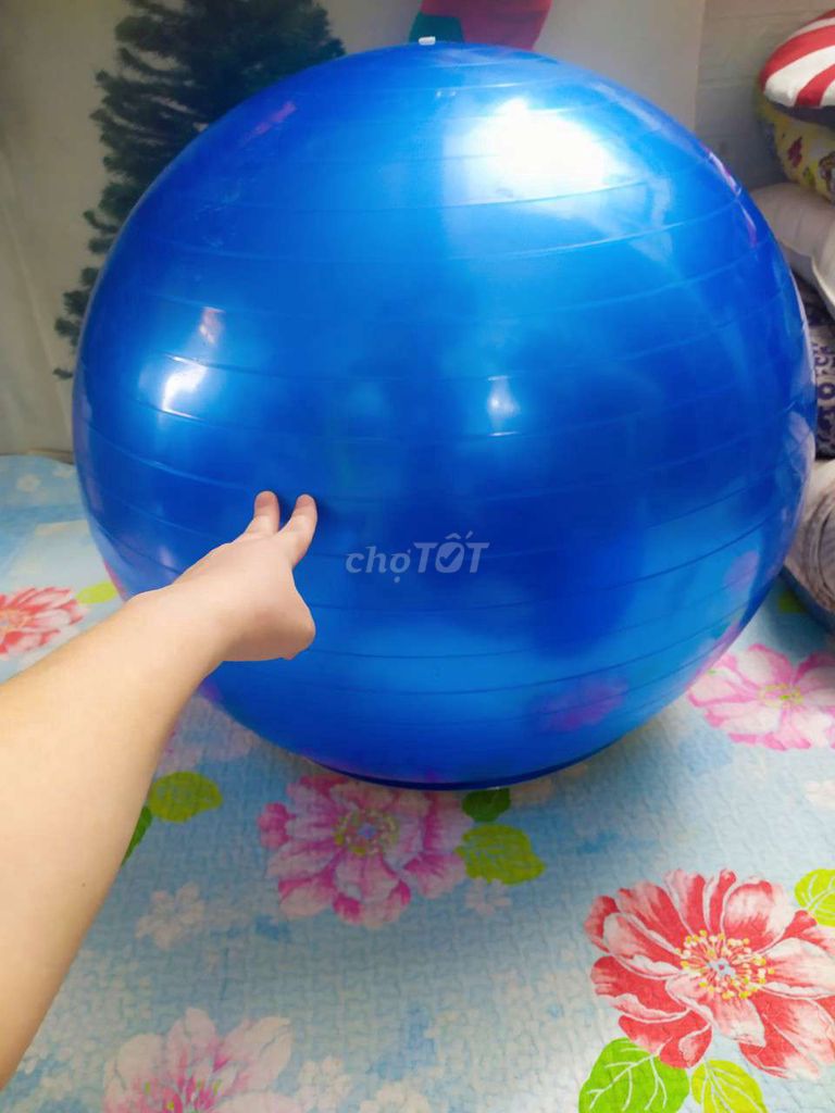 Bóng tập yoga cao cấp (Mới 99,9%).