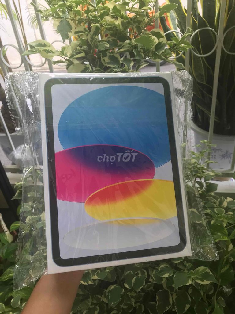 Apple iPad A16 128GB Xanh Blue. Mua bán Máy tính bảng tại Quận Ninh Kiều Cần Thơ được đăng bởi Nguyen Minh hình 1