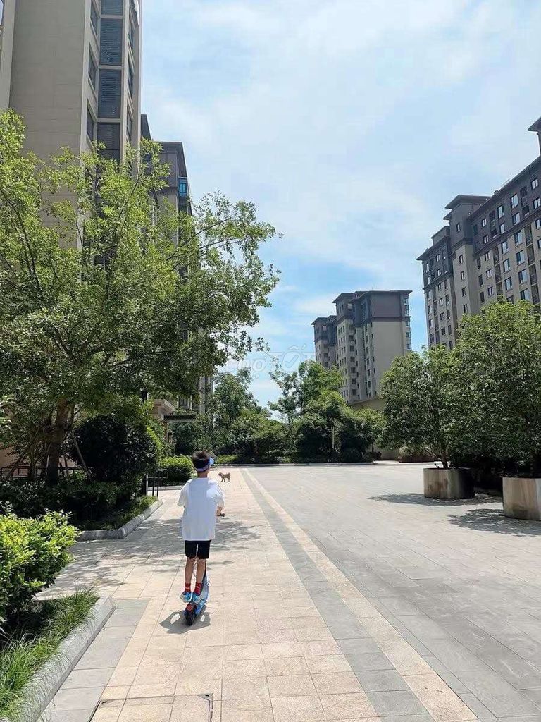 Xe scooter thế hệ mới Segway Ninebot C2 Pro 2025. Mua bán Xe điện tại Huyện Đất Đỏ Bà Rịa - Vũng Tàu được đăng bởi Mr- Phat hình 11