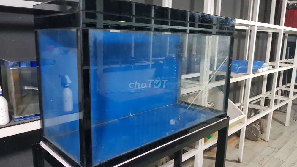 Cần bán hồ cá cũ 1m2, đẹp, chất lượng