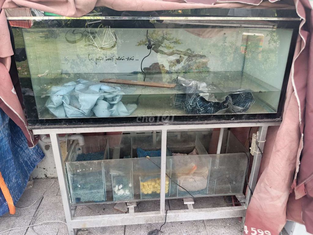 Hồ cá kính 1m2x50x50cm dày 8 li. Mua bán Phụ kiện, Thức ăn, Dịch vụ tại Thành phố Bến Tre Bến Tre được đăng bởi Thành hình 1