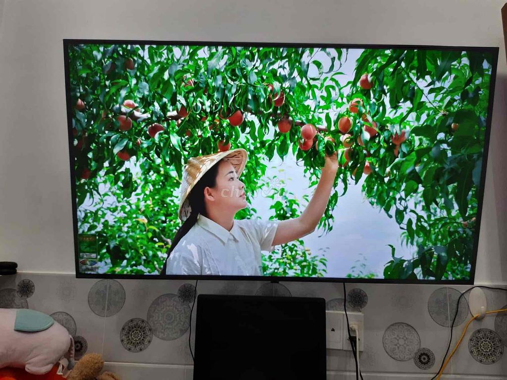 Chuyển nhà xa TV LG 50in 4K Wifi. Mua bán Tivi, Âm thanh tại Quận Gò Vấp Tp Hồ Chí Minh được đăng bởi Hoàng hình 1