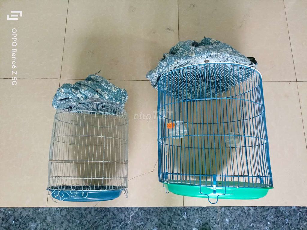 Lồng chim Kim loại Xanh Bạc có phụ kiện. Mua bán Phụ kiện, Thức ăn, Dịch vụ tại Huyện Châu Thành Bến Tre được đăng bởi Võ Huỳnh Tấn Đạt hình 1