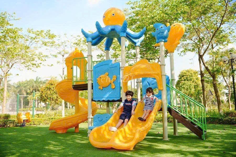 Ảnh 7