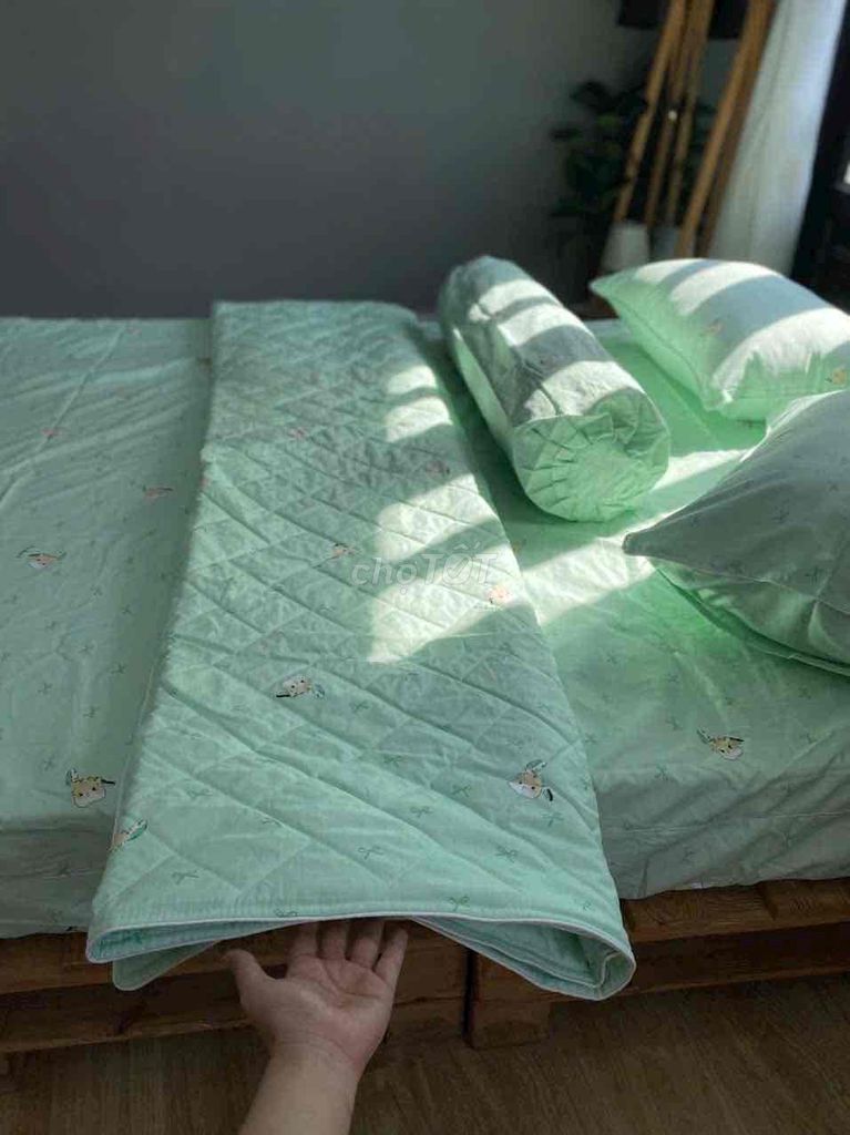 Bộ drap giường Cotton M6. Mua bán Giường, chăn ga gối nệm tại Quận Tân Phú Tp Hồ Chí Minh được đăng bởi Shop nhỏ hình 1