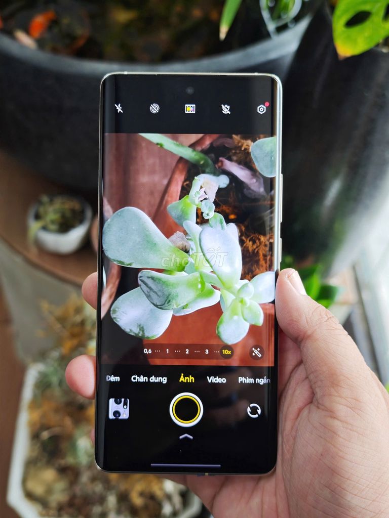 ❇️VIVO X100 X100S  Mới_Hỗ trợ góp Online. Mua bán Điện thoại tại Thành phố Thủ Dầu Một Bình Dương được đăng bởi Vio Store Thủ Dầu Một hình 3