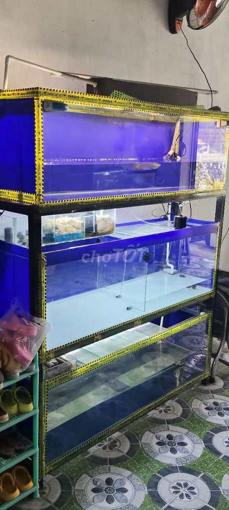 Hồ cá cảnh Kính, Kim loại. Mua bán Phụ kiện, Thức ăn, Dịch vụ tại Huyện Trảng Bàng Tây Ninh được đăng bởi CÁ CẢNH TB hình 2