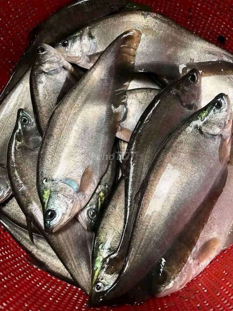 CHẢ CÁ THÁC LÁC  sông thiên nhiên quê miền trung. Mua bán Đồ ăn, thực phẩm và các loại khác tại Huyện Hóc Môn Tp Hồ Chí Minh được đăng bởi Lê Kim Hân  hình 2