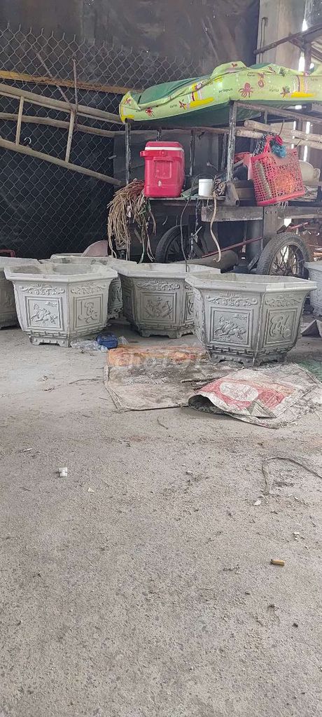 Chậu cây cảnh xi măng lục giác 60cm. Mua bán Cây cảnh, đồ trang trí tại Thành phố Tây Ninh Tây Ninh được đăng bởi Thanh Tuấn hình 1