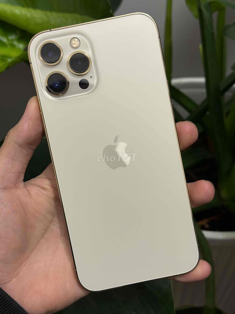 Apple iPhone 12 Pro Max 128GB Vàng cần bán hoặc gl. Mua bán Điện thoại tại Thành phố Đà Lạt Lâm Đồng được đăng bởi nhanh gọn lẹ hình 1
