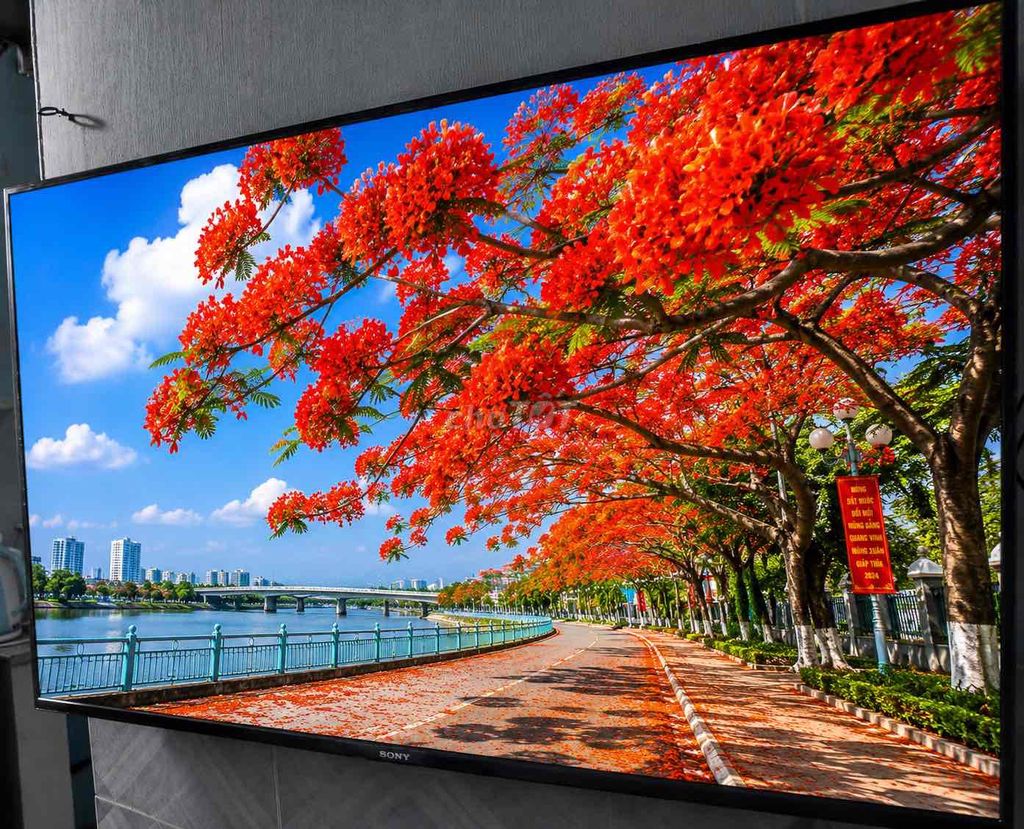 Bán smart Tivi Sony 55inch 4K Wifi nhanh mới 90%. Mua bán Tivi, Âm thanh tại Thành phố Thủ Đức Tp Hồ Chí Minh được đăng bởi Hoang hình 1