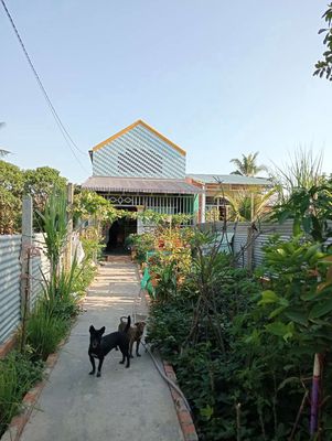 Nhà cấp bốn. Mua bán nhà ở tại Huyện Gò Dầu Tây Ninh được đăng bởi cô thanh 