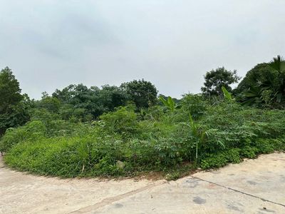 GẤP. BÁN 100m GIÁ 550TR ĐẤT CÁCH SVD MỚI CHỈ 1KM TẠI PHÚC TRÌU - TN. Mua bán đất tại Thành phố Thái Nguyên Thái Nguyên được đăng bởi Đỗ Lan Hương