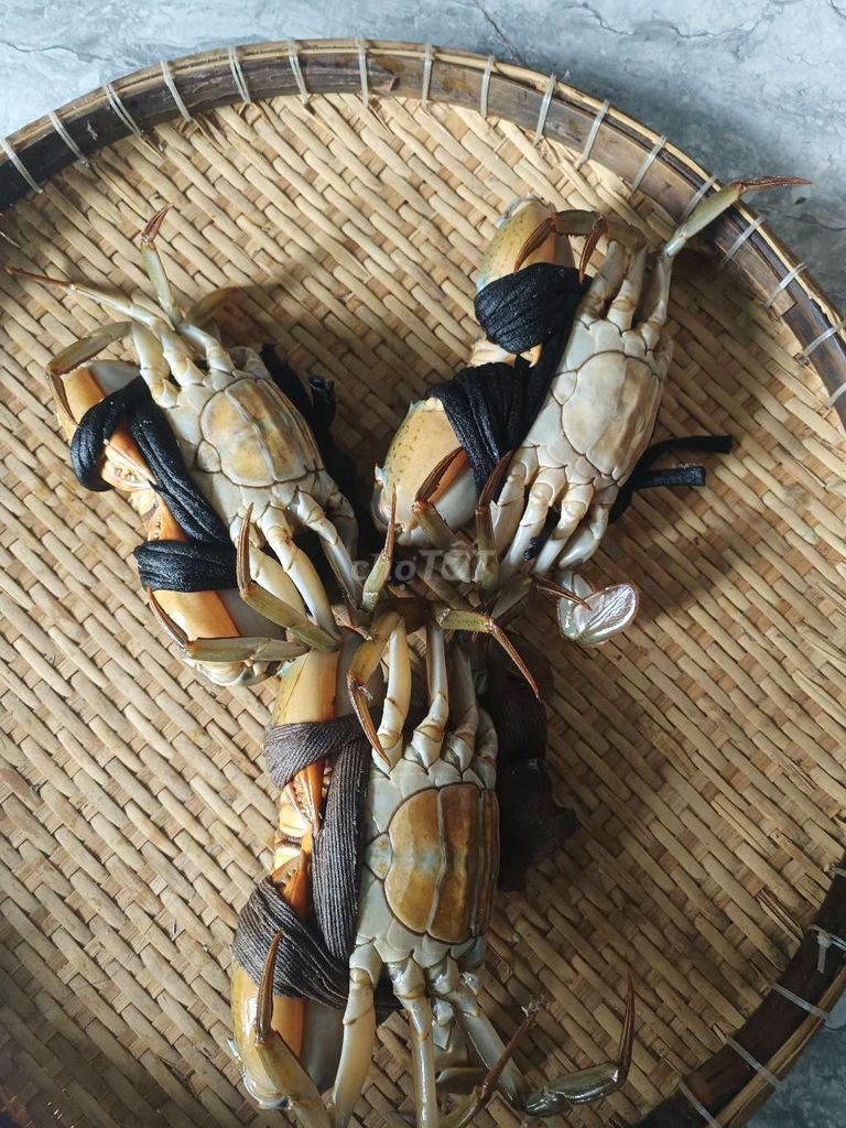 Cua bao ăn. Mua bán Đồ ăn, thực phẩm và các loại khác tại Thành phố Thủ Dầu Một Bình Dương được đăng bởi Lê Minh Trí  hình 3