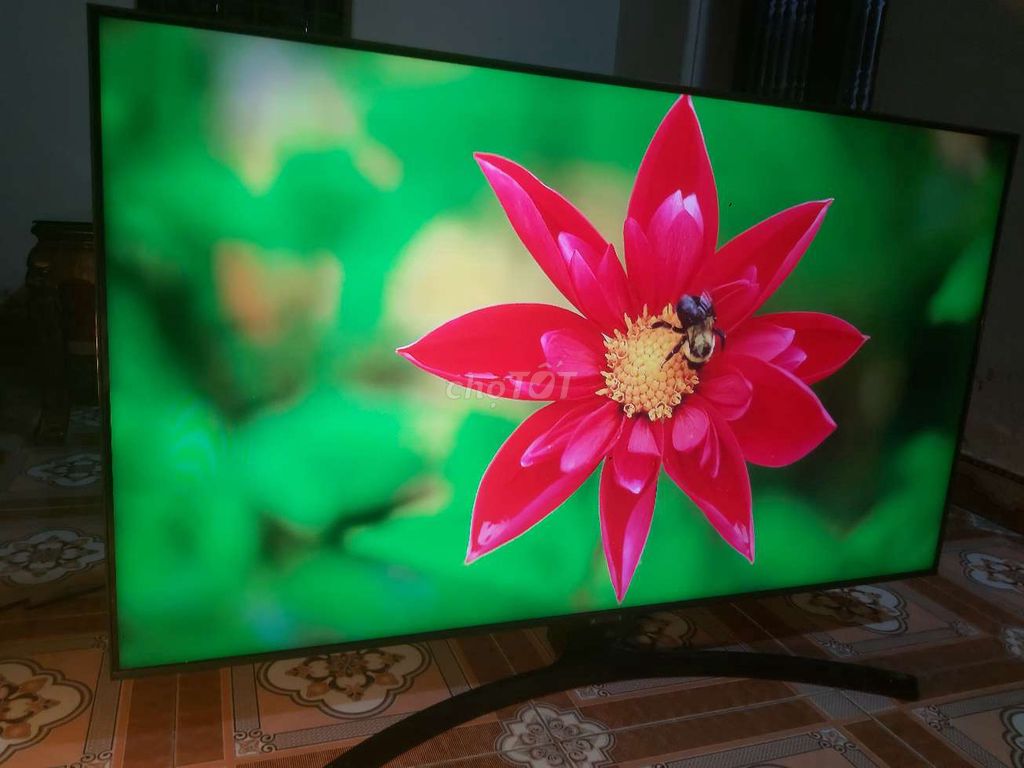 Tv lg 49in 4k ảnh đẹp mạng nhanh