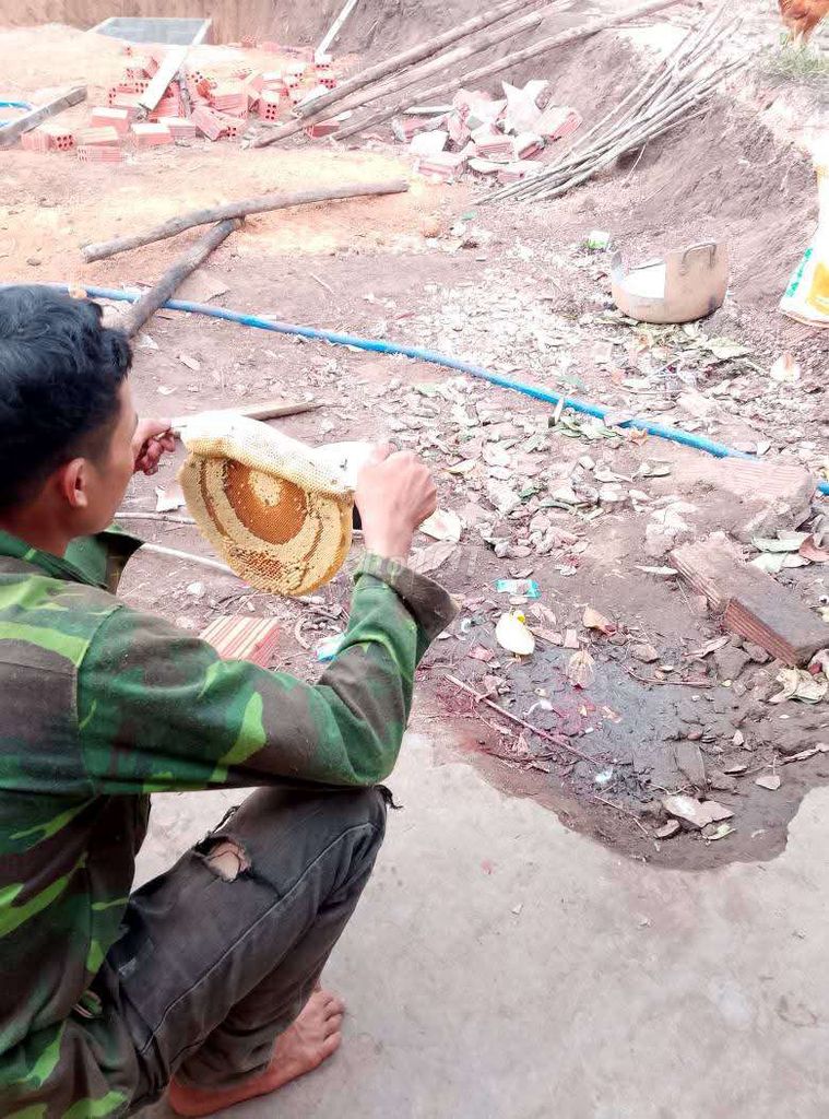 Mật ong rừng nguyên chất Đăk Lăk. Mua bán Đồ ăn, thực phẩm và các loại khác tại Huyện Hóc Môn Tp Hồ Chí Minh được đăng bởi bé út  hình 2