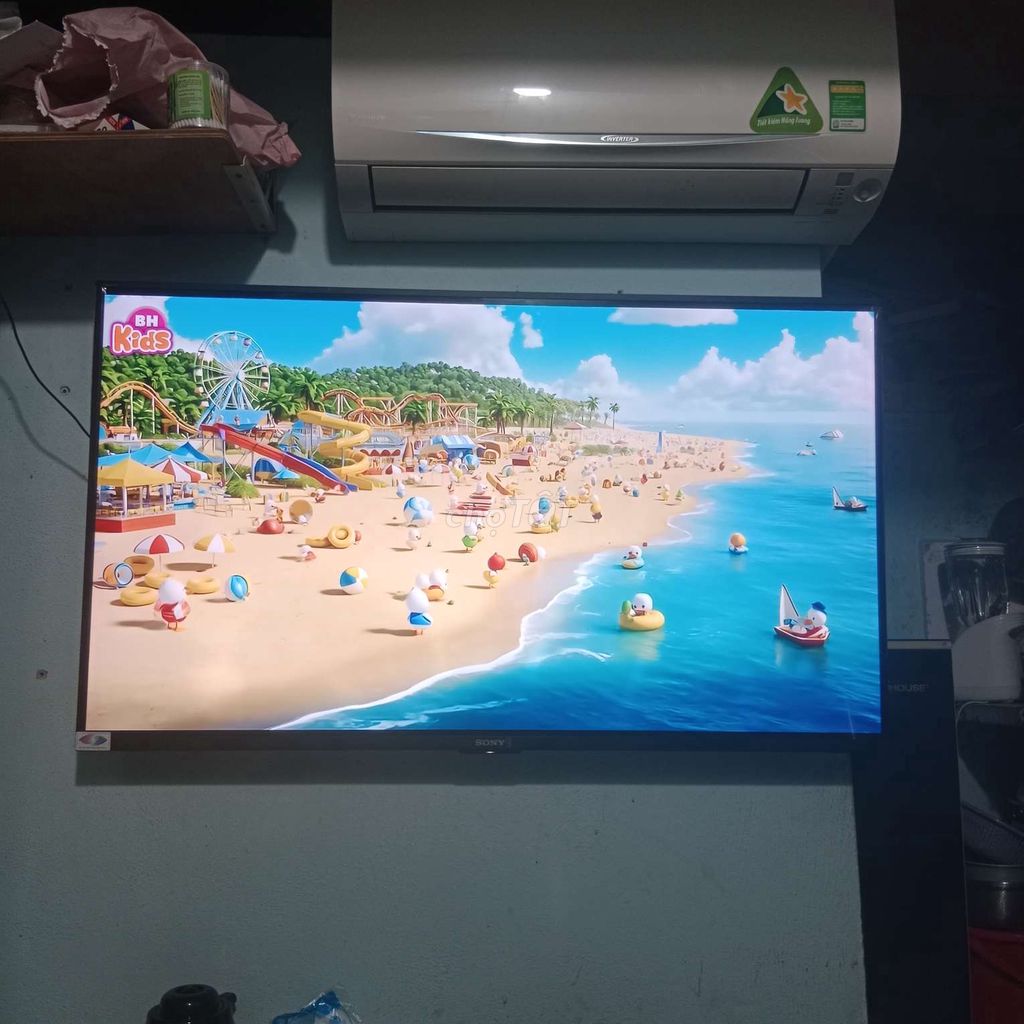 Tivi Sony 49 inch