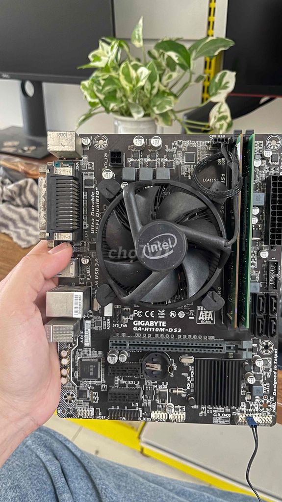 Gigabyte H110M-DS2 i3 6100 8GB Zin all. Mua bán Linh kiện (RAM, Card...) tại Quận Hoàng Mai Hà Nội được đăng bởi Cuong Nguyen hình 1
