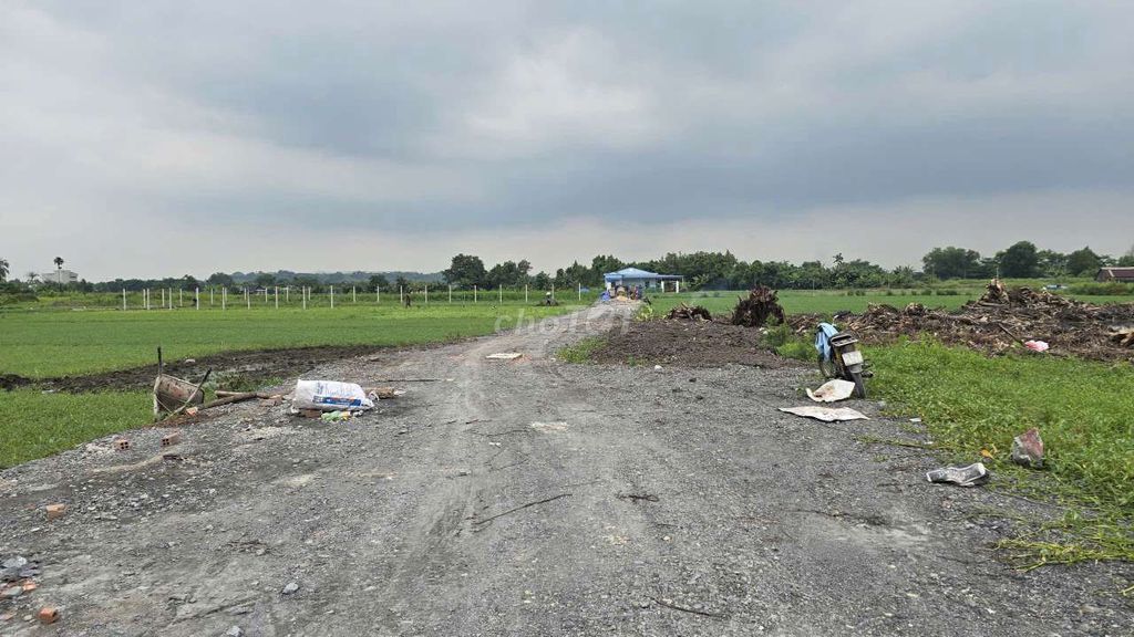 990m2 đất sổ riêng bán 3.5 tỷ. Mua bán đất tại Huyện Củ Chi Tp Hồ Chí Minh được đăng bởi Nhà Đất Oanh Oanh Bình Mỹ Củ Chi hình 4