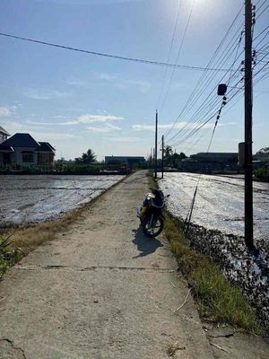 ĐẤT LUA QLO1 CẦU VOI THỦ THỪA. Mua bán đất tại Huyện Thủ Thừa Long An được đăng bởi Tấn Phát Huỳnh