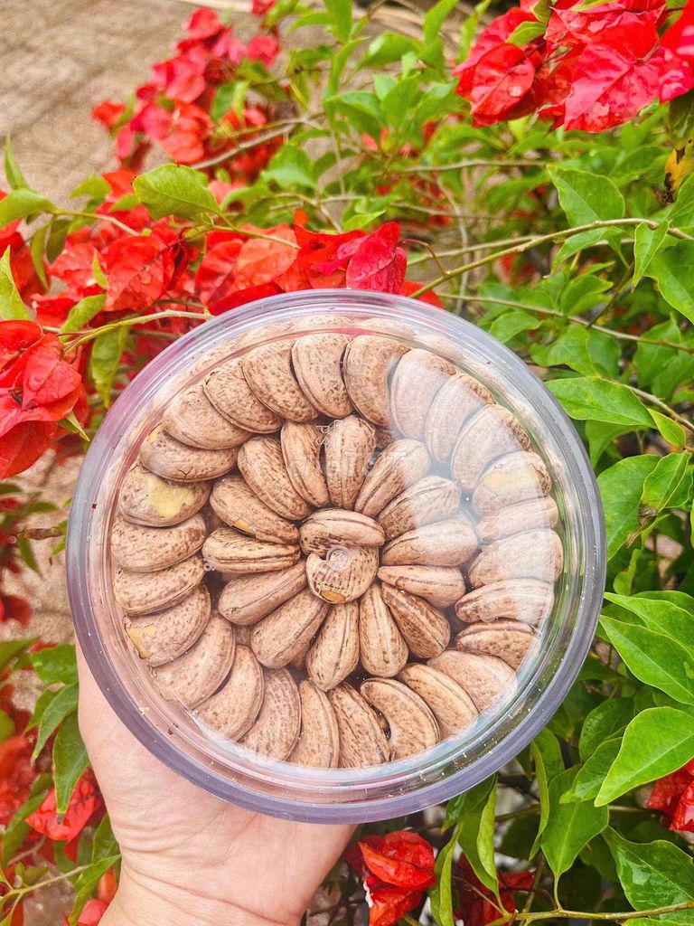 Hạt điều rang muối loại A cồ Bình Phước. Mua bán Đồ ăn, thực phẩm và các loại khác tại Quận Gò Vấp Tp Hồ Chí Minh được đăng bởi Trung Thông hình 3