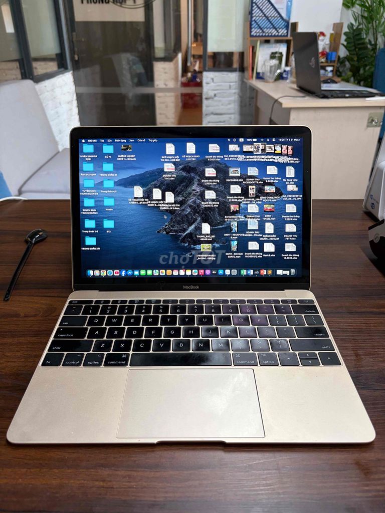 Apple MacBook Retina 2017 12 inch. Mua bán Laptop tại Huyện Bình Chánh Tp Hồ Chí Minh được đăng bởi Nguyễn Thanh Hào hình 1