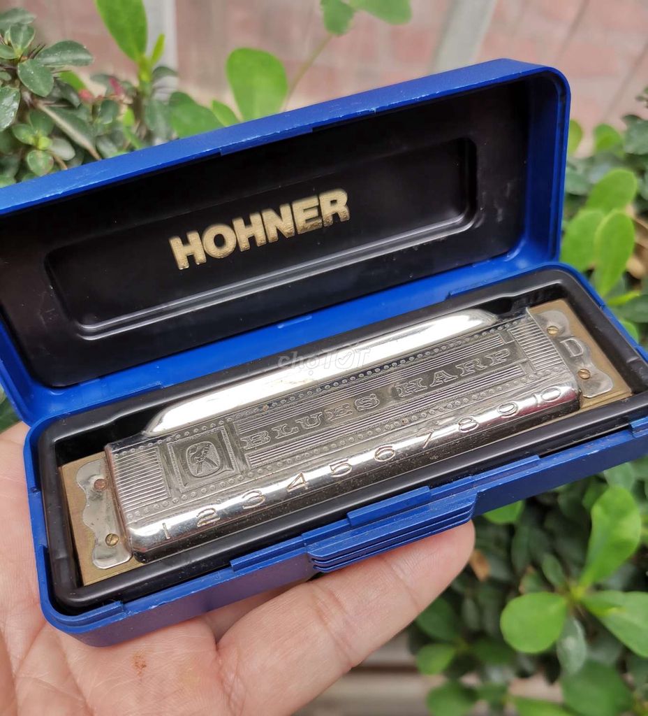 Cây harmonica Hohner Made in Germany