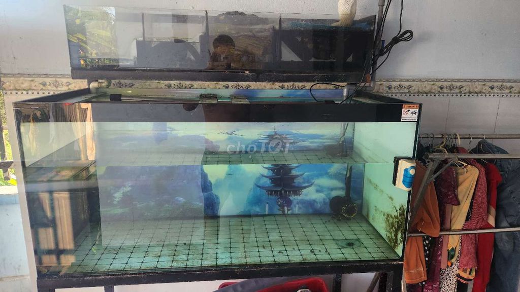 Hồ cá Kính M33 60. Mua bán Phụ kiện, Thức ăn, Dịch vụ tại Quận 8 Tp Hồ Chí Minh được đăng bởi Nhut hình 1