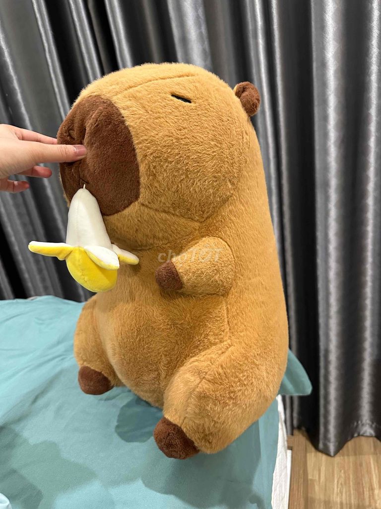 Thú nhồi bông Chuột lang nước. Mua bán Sở thích khác tại Huyện Thanh Trì Hà Nội được đăng bởi Yến Phương pass đồ xinh hình 1