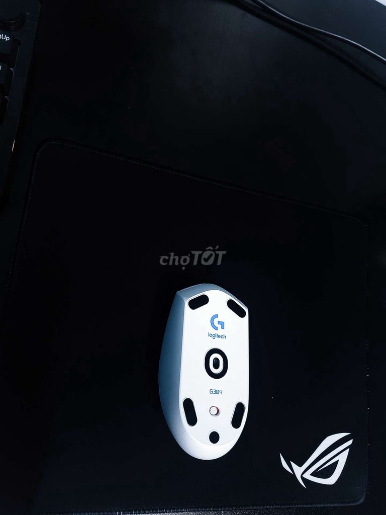 Chuột Logitech không dây G304