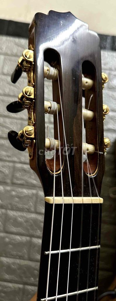 Guitar Quyết gỗ Ziricote kèm hộp cứng