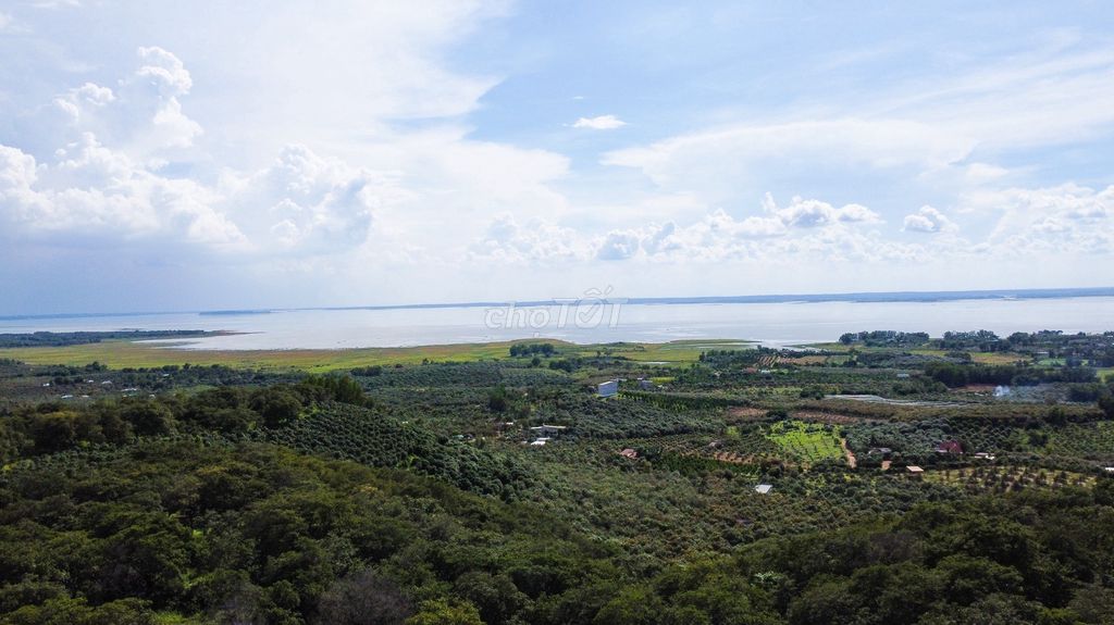 Bán 2 mẫu (20,000m²) đất có 300m2 thổ cư