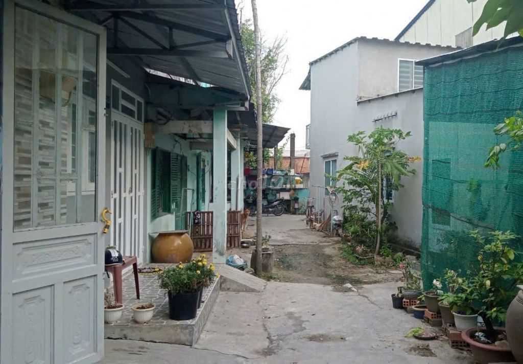 Cần tiền bán gấp nhà 500 triệu. Mua bán nhà ở tại Thành phố Thủ Đức Tp Hồ Chí Minh được đăng bởi Hoàng hình 1