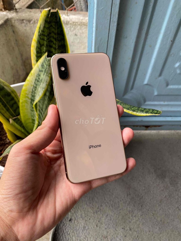 iPhone XS Gold 64GB Quốc tế. Mua bán Điện thoại tại Quận Ninh Kiều Cần Thơ được đăng bởi Ty Xperia hình 1