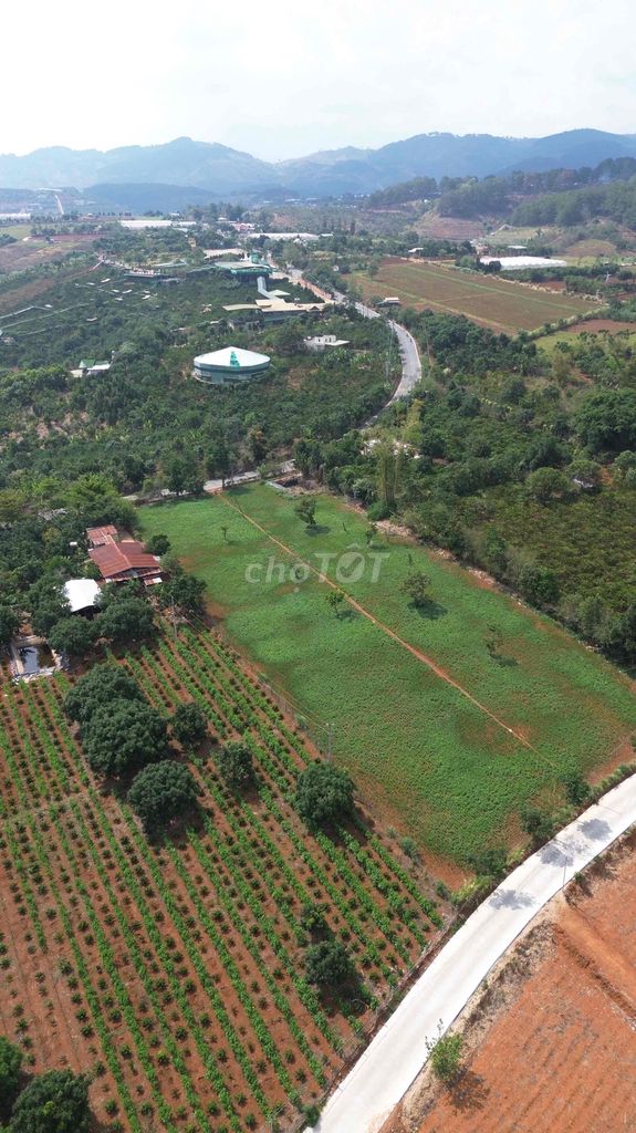 bán đất giá đầu tư cực kỳ rẻ. tp Đà Lạt. Mua bán đất tại Thành phố Đà Lạt Lâm Đồng được đăng bởi Lê xuân hồng hình 3