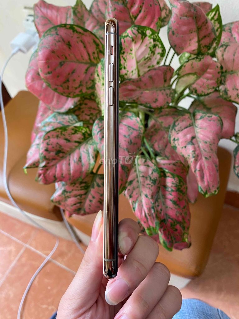 11prm 256 gb gold. Mua bán Điện thoại tại Quận Cầu Giấy Hà Nội được đăng bởi Long blue 9x hình 2